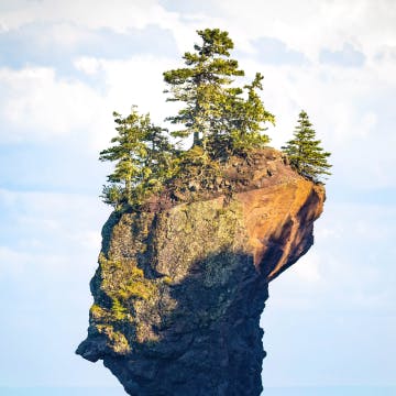 Saint John