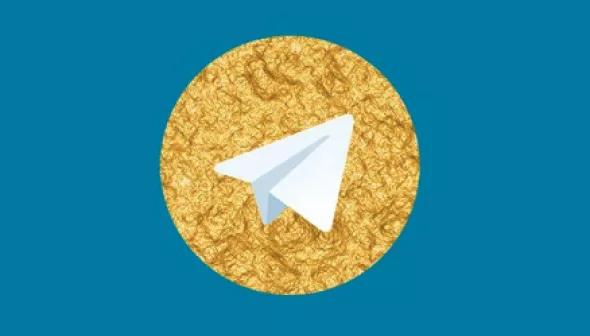 How does the security of Golden Telegram violate the privacy of users?