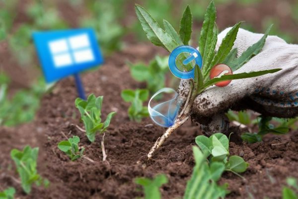 Additional and unnecessary Windows 10 programs that you should remove from your system